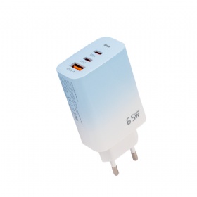 Colorful Painting 65W 2C1A GaN Charger